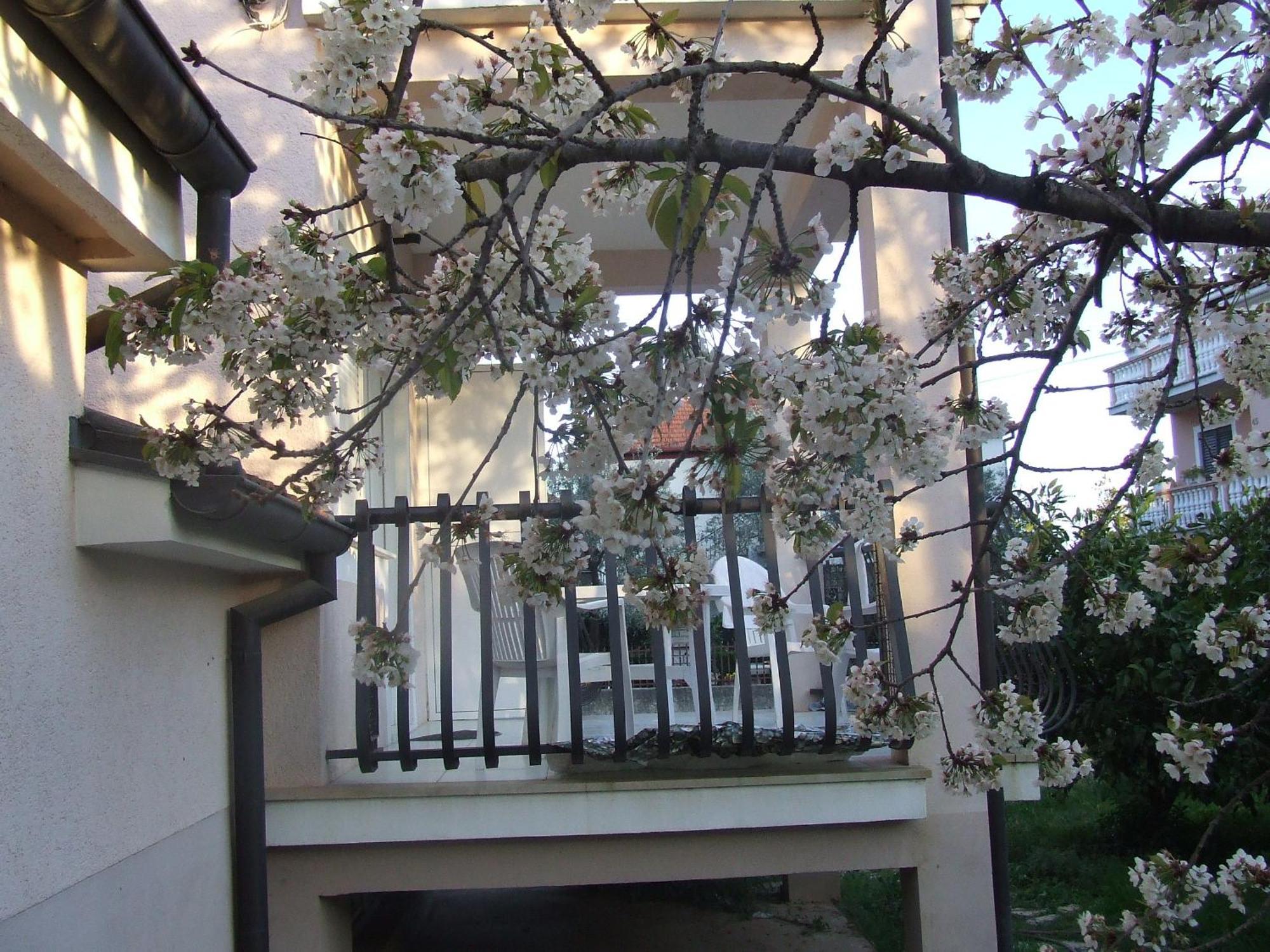 Villa Dalmatia Ζαντάρ Δωμάτιο φωτογραφία